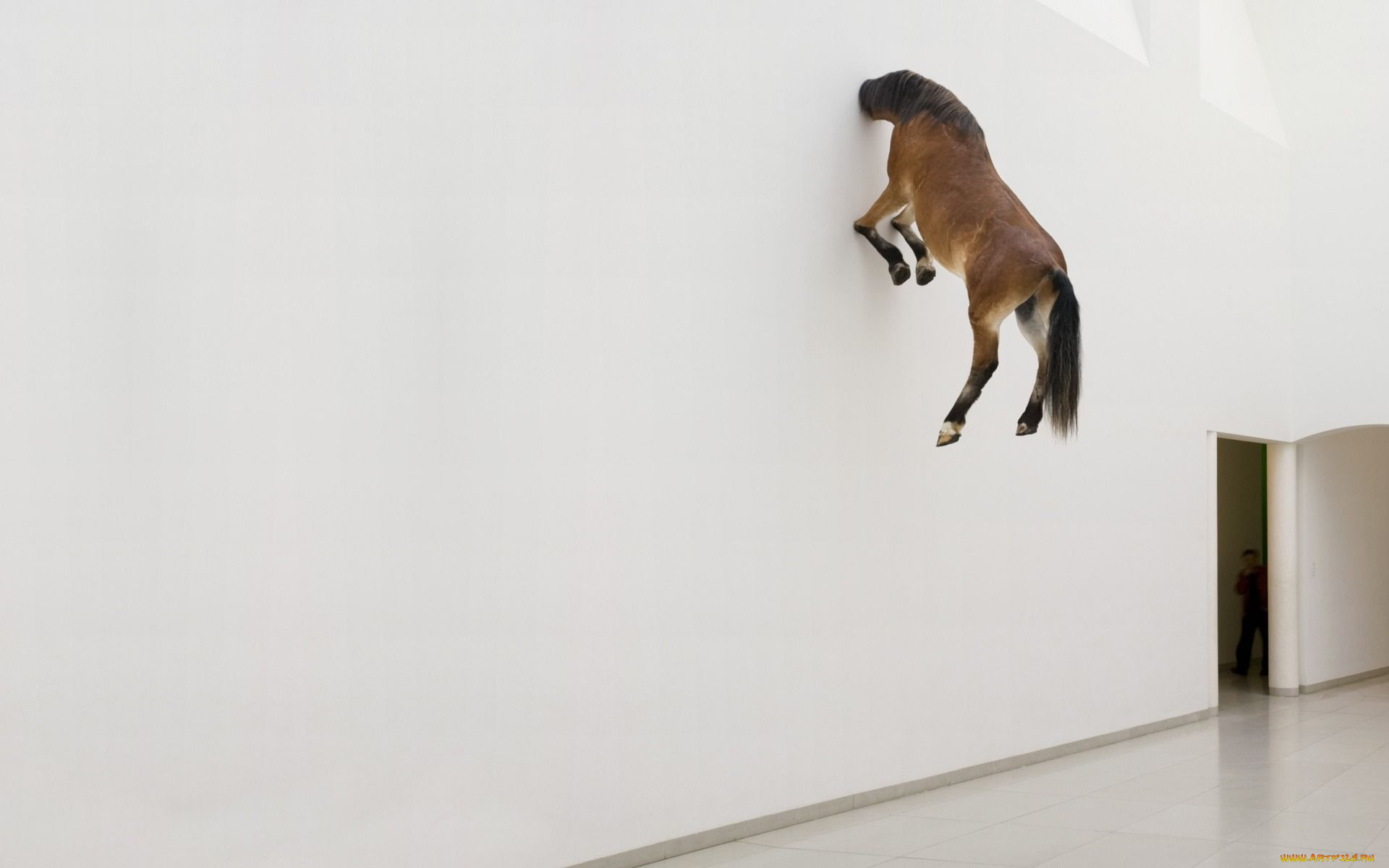 , 